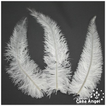 PLUMA DE AVESTRUZ BLANCAS WING FLOSS 35-45cm