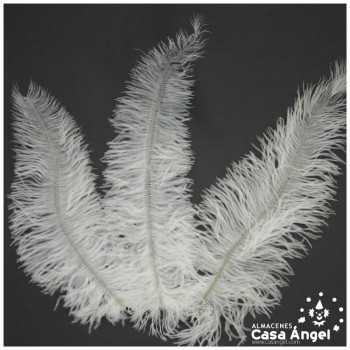 PLUMA DE AVESTRUZ BLANCAS WING FLOSS 35-45cm
