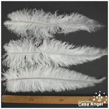 PLUMA DE AVESTRUZ BLANCAS WING FLOSS 35-45cm