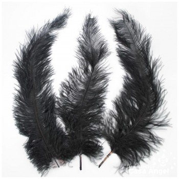 PLUMA DE AVESTRUZ NEGRO WING FLOSS 35-45cm