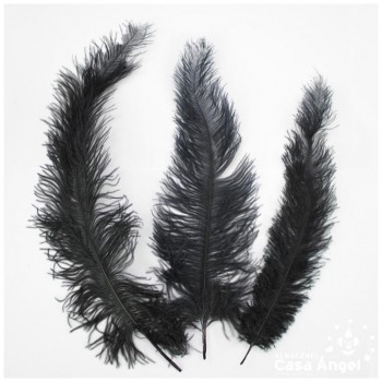 PLUMA DE AVESTRUZ NEGRO WING FLOSS 35-45cm