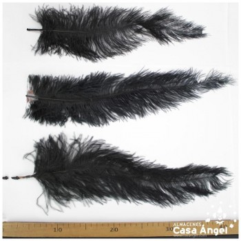 PLUMA DE AVESTRUZ NEGRO WING FLOSS 35-45cm