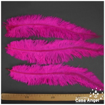 PLUMA DE AVESTRUZ FUCSIA WING FLOSS 35-45cm