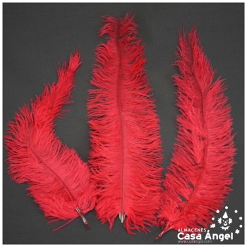 PLUMA DE AVESTRUZ ROJA WING FLOSS 35-45cm