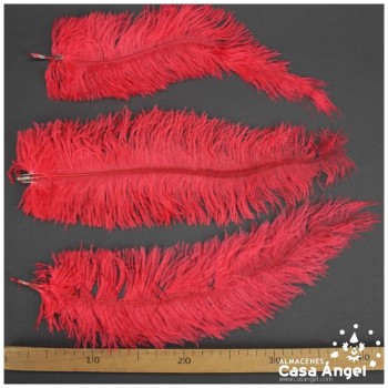 PLUMA DE AVESTRUZ ROJA WING FLOSS 35-45cm