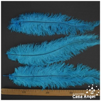 PLUMA DE AVESTRUZ TURQUESA WING FLOSS 35-45cm