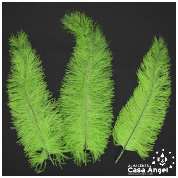 PLUMA DE AVESTRUZ VERDE PISTACHO WING FLOSS 35-45cm
