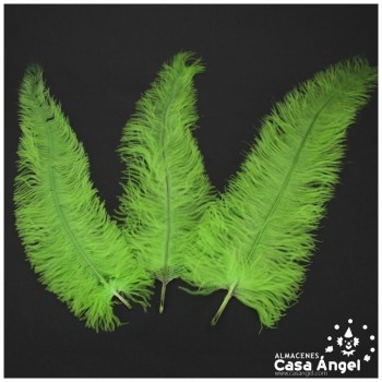 PLUMA DE AVESTRUZ VERDE PISTACHO WING FLOSS 35-45cm