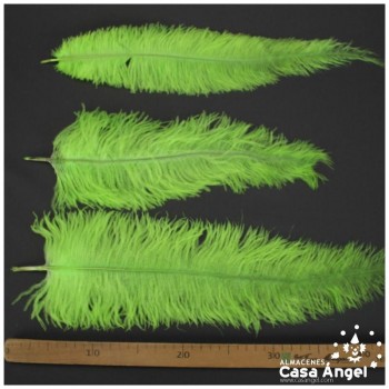 PLUMA DE AVESTRUZ VERDE PISTACHO WING FLOSS 35-45cm