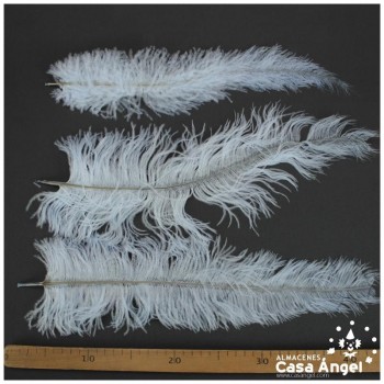 PLUMA DE AVESTRUZ CELESTE WING FLOSS 35-45cm