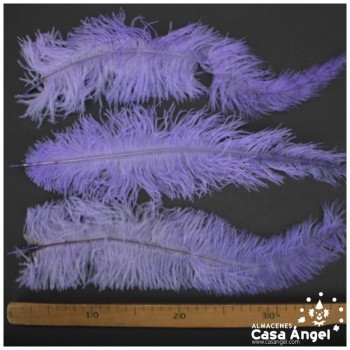 PLUMA DE AVESTRUZ VERDE CLARO WING FLOSS 35-45cm