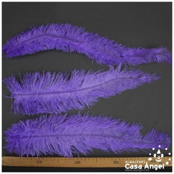 PLUMA DE AVESTRUZ MORADAS WING FLOSS 35-45cm