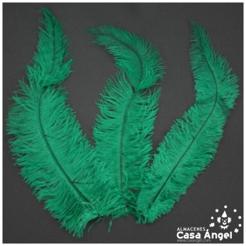 PLUMA DE AVESTRUZ VERDE WING FLOSS 35-45cm