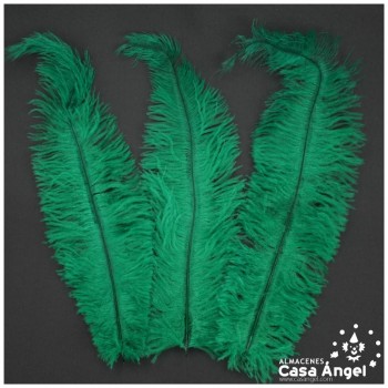 PLUMA DE AVESTRUZ VERDE WING FLOSS 35-45cm