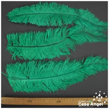 PLUMA DE AVESTRUZ VERDE WING FLOSS 35-45cm