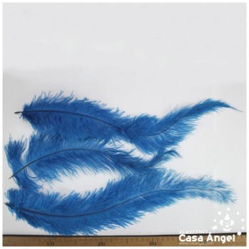 PLUMA DE AVESTRUZ TURQUESA OSCURO WING FLOSS 35-45cm