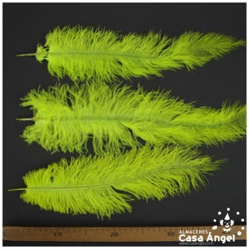 PLUMA DE AVESTRUZ VERDE FLÚOR WING FLOSS 35-45cm