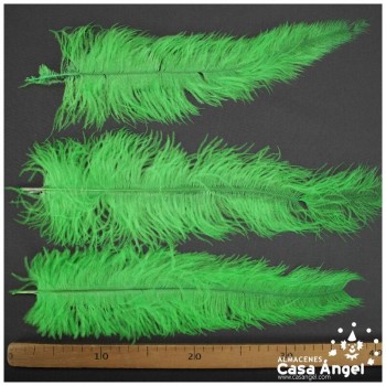 PLUMA DE AVESTRUZ VERDE CLARO WING FLOSS 35-45cm