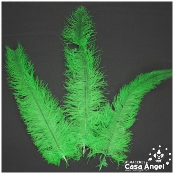 PLUMA DE AVESTRUZ VERDE CLARO WING FLOSS 35-45cm
