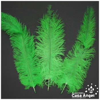 PLUMA DE AVESTRUZ VERDE CLARO WING FLOSS 35-45cm