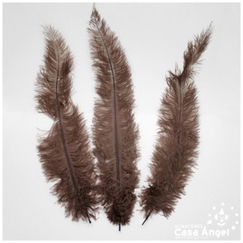 PLUMA DE AVESTRUZ MARRÓN WING FLOSS 35-45cm
