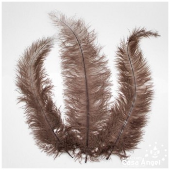 PLUMA DE AVESTRUZ MARRÓN WING FLOSS 35-45cm