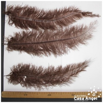 PLUMA DE AVESTRUZ MARRÓN WING FLOSS 35-45cm