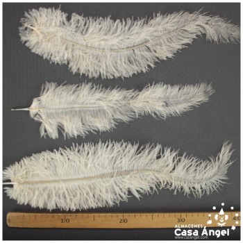 PLUMA DE AVESTRUZ BEIGE WING FLOSS 35-45cm