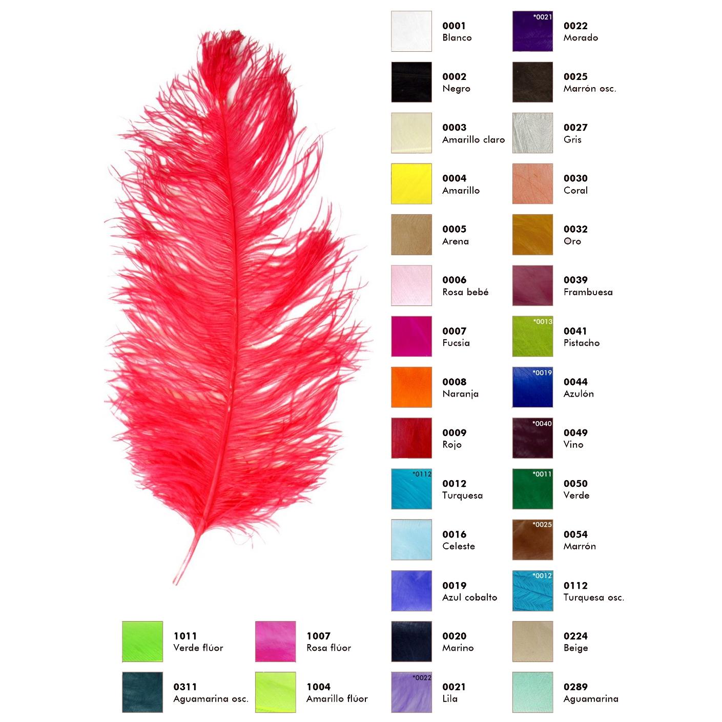 Plumas de avestruz macho en colores - PLUMASEVILLA venta de plumas