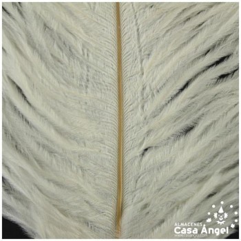 PLUMA DE AVESTRUZ FEMBODY BLANCO 35cm BOLSA 2uds