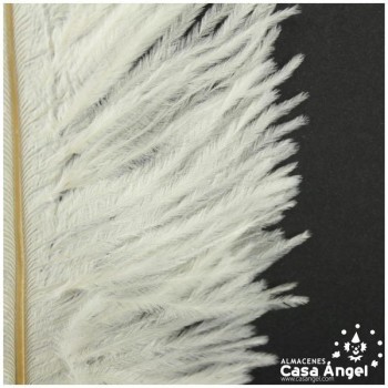 PLUMA DE AVESTRUZ FEMBODY BLANCO 35cm BOLSA 2uds