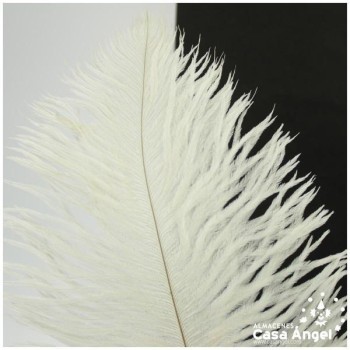 PLUMA DE AVESTRUZ FEMBODY BLANCO 35cm BOLSA 2uds