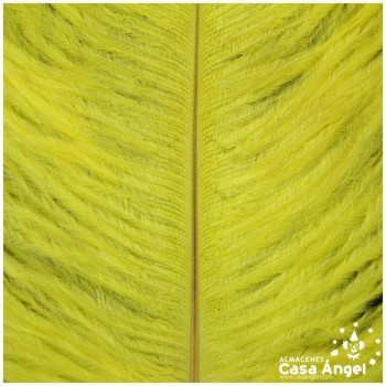 PLUMA DE AVESTRUZ FEMBODY AMARILLO 35cm