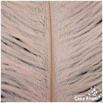 PLUMA DE AVESTRUZ FEMBODY ROSA 35cm