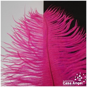 PLUMA DE AVESTRUZ FEMBODY FUCSIA 35cm