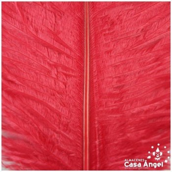 PLUMA DE AVESTRUZ FEMBODY ROJO 35cm