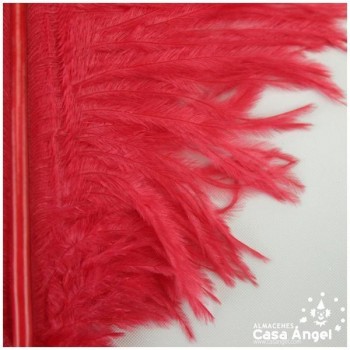 PLUMA DE AVESTRUZ FEMBODY ROJO 35cm