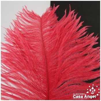 PLUMA DE AVESTRUZ FEMBODY ROJO 35cm
