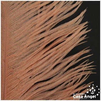 PLUMA DE AVESTRUZ FEMBODY CORAL 35cm