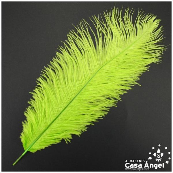 PLUMA DE AVESTRUZ FEMBODY PISTACHO 35cm