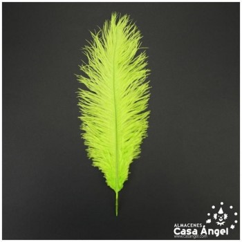PLUMA DE AVESTRUZ FEMBODY PISTACHO 35cm