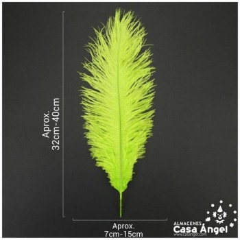 PLUMA DE AVESTRUZ FEMBODY PISTACHO 35cm