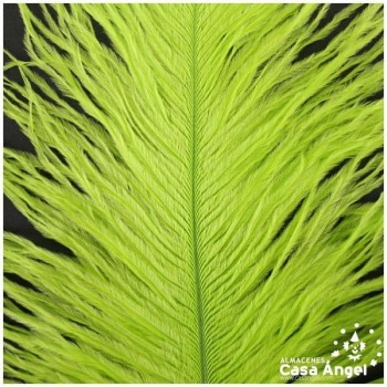 PLUMA DE AVESTRUZ FEMBODY PISTACHO 35cm