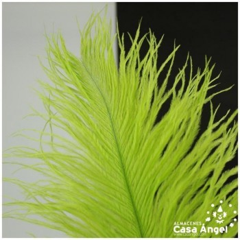 PLUMA DE AVESTRUZ FEMBODY PISTACHO 35cm