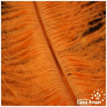 PLUMA DE AVESTRUZ CHICK NARANJA 35cm