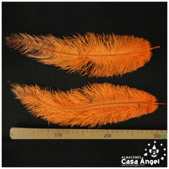PLUMA DE AVESTRUZ CHICK NARANJA 35cm