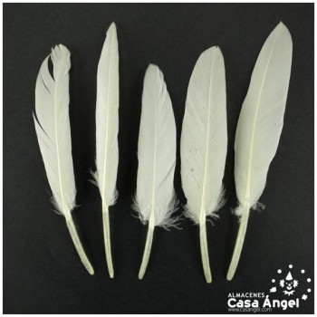BOLSA DE 50 PLUMAS DE PATO BLANCAS ENTRE 10cm Y 14cm