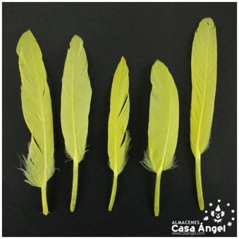 BOLSA DE 50 PLUMAS DE PATO AMARILLAS ENTRE 10cm Y 14cm