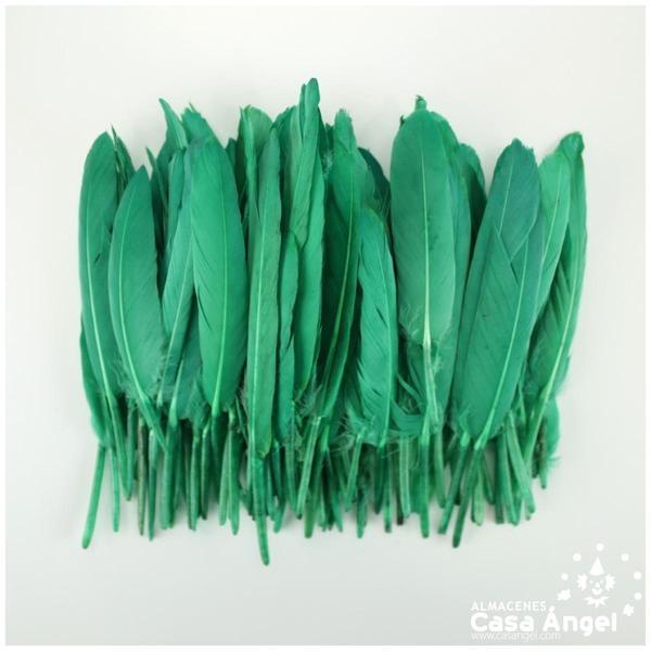 BOLSA DE 50 PLUMAS DE PATO VERDE ENTRE 10cm Y 14cm