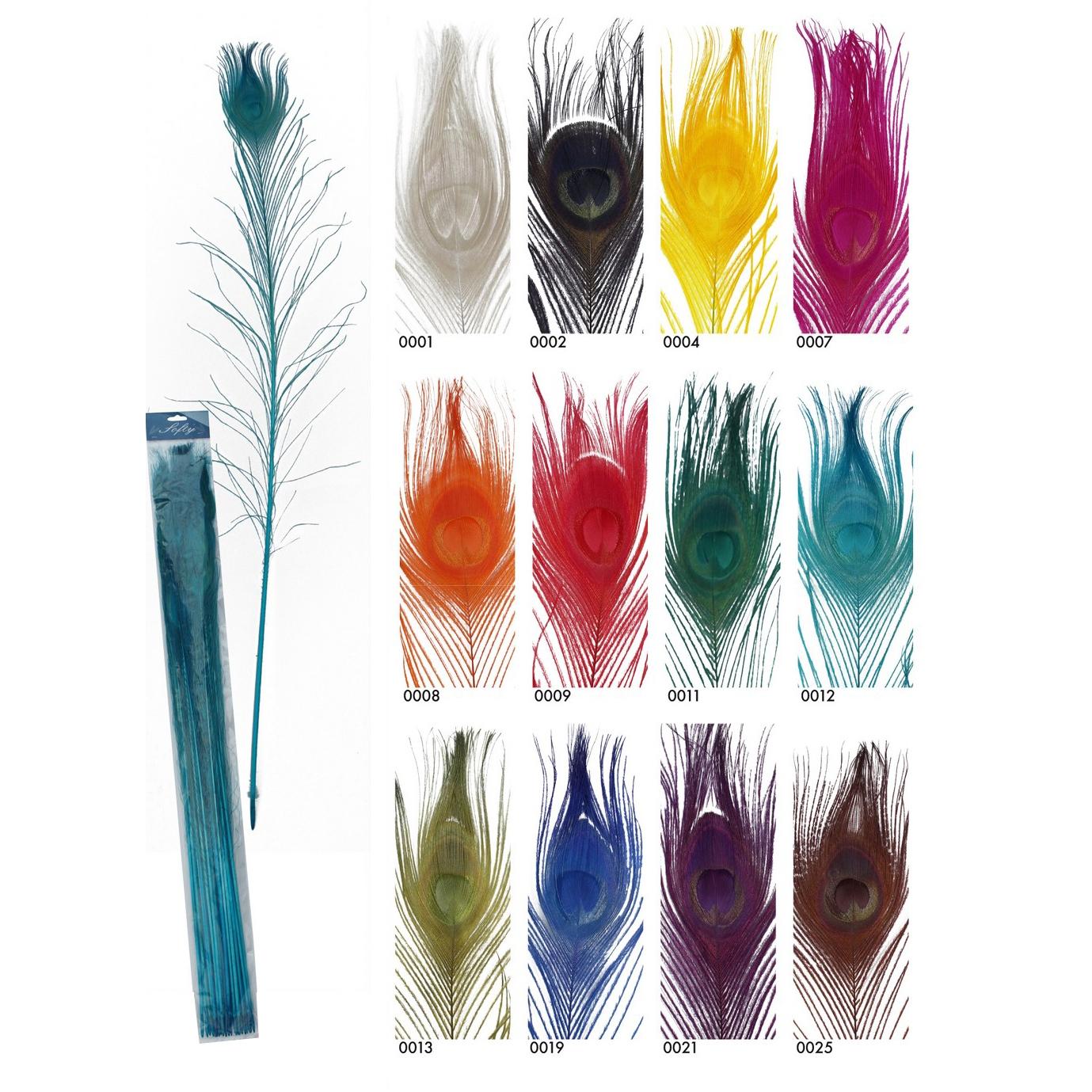 Plumas de pavo real – azul turquesa plumas de pavo real, pavo real espadas